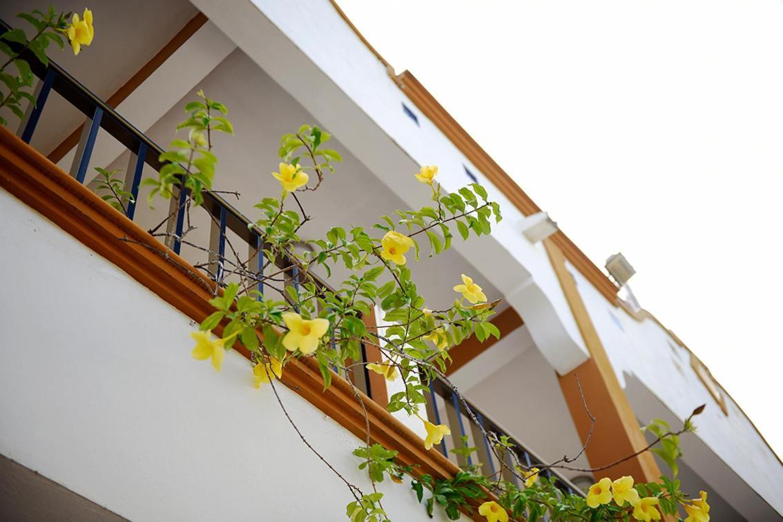Hotel Mt تولوم المظهر الخارجي الصورة